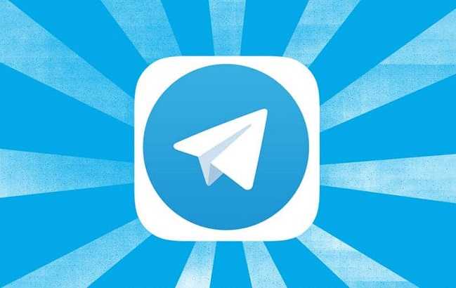 How to Use the Telegram Bots