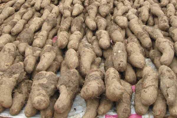 How to Prepare Recipe for Sweet Potatoes with Streusel Topping