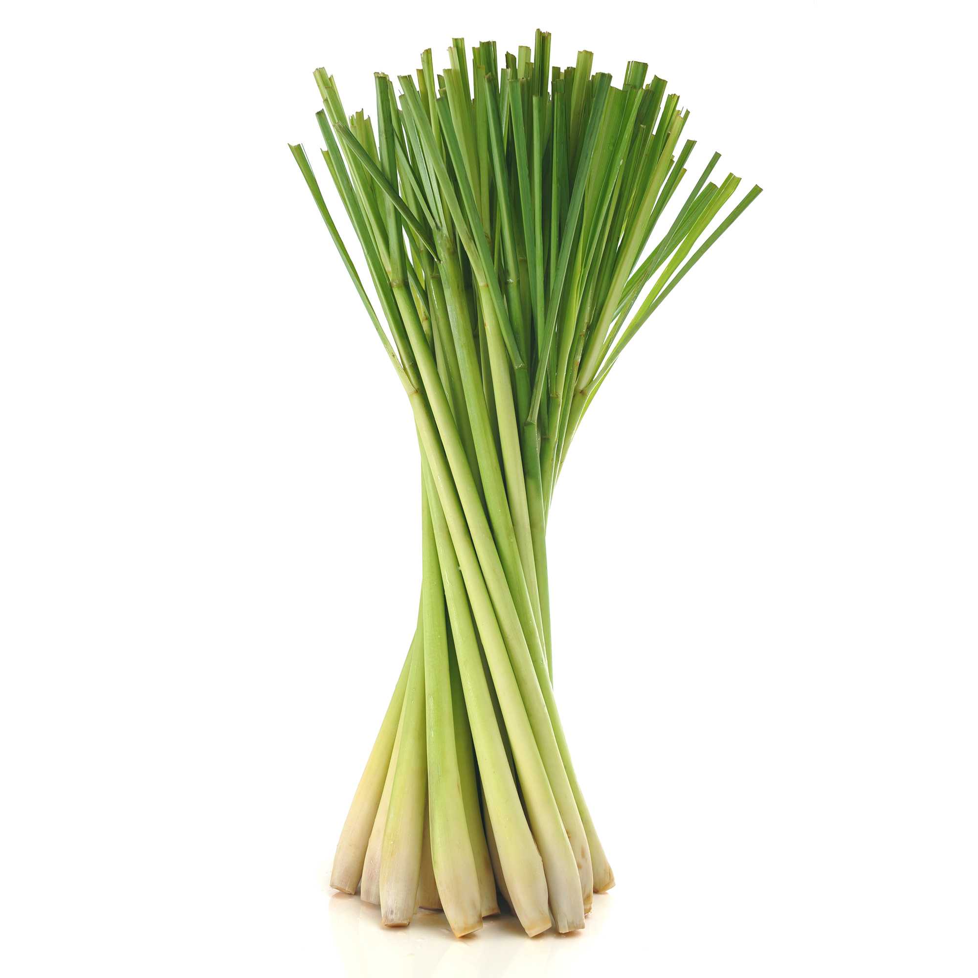 Health Benefits Of Lemon Grass