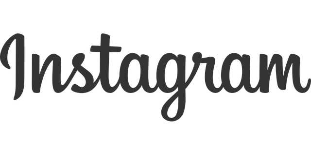 How To Search Instagram Accounts