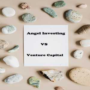 Business Investment: Venture Capital VS Angel Investing
