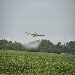 What Is Pesticides And Its Effect On The Environment