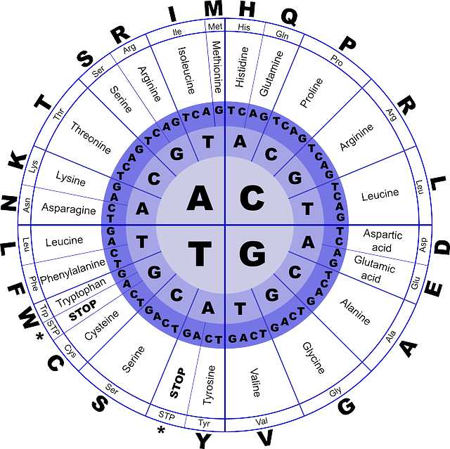 What Are The Building Blocks Of Proteins