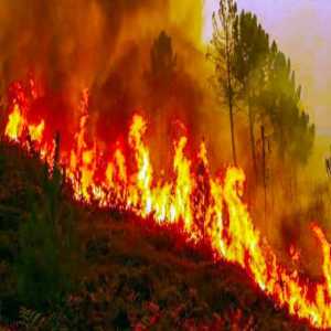 Use Of Masks In New York As Canada Battles Wildfire